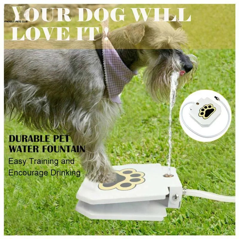 Outdoor Automatic Dog Water Fountain