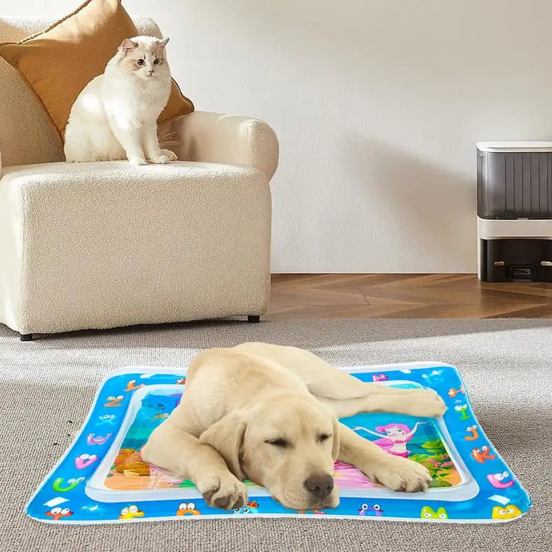 Sensory Water Mat Pet