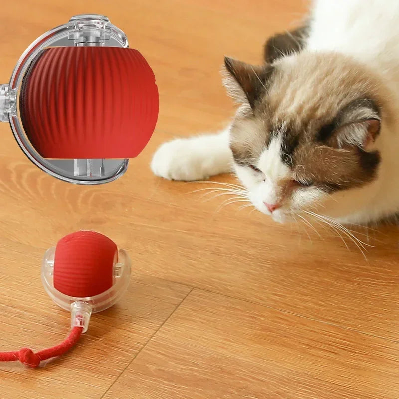 Pet Smart Interactive Rolling Ball With Tail