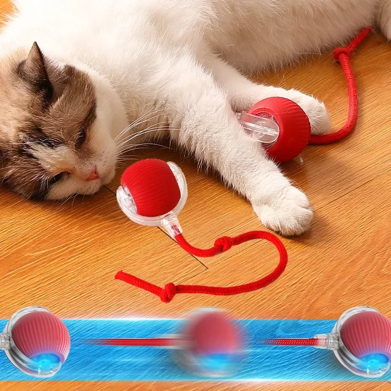 Pet Smart Interactive Rolling Ball With Tail