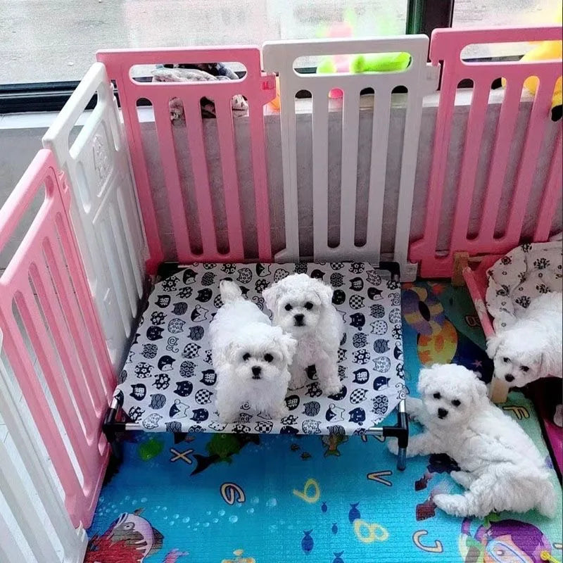 Elevated Bed for dogs and cats