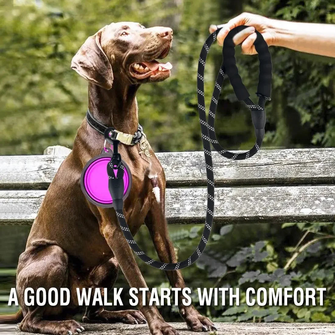 Strong Dog Leash Pet